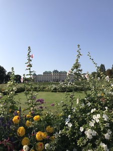 IMG_1169.JPG