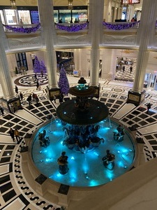 IMG_5311.jpeg